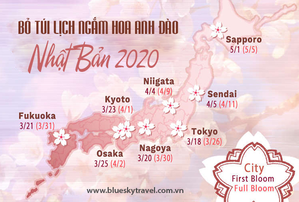 Bỏ túi ngay lịch hoa anh đào nở cực chi tiết trên khắp nước Nhật năm 2020